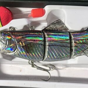 Robotic Swimming Lure